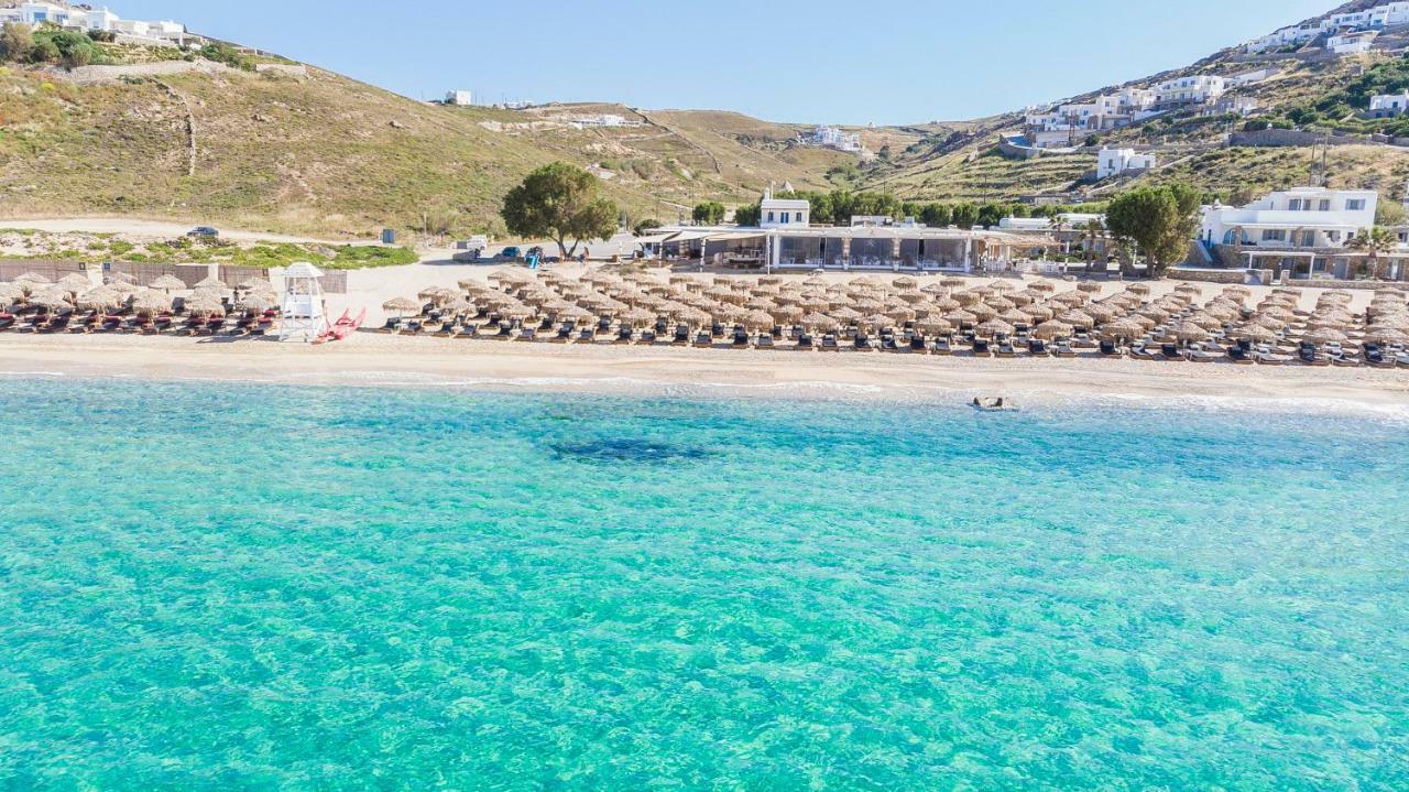 Elia Mykonos Ελιά