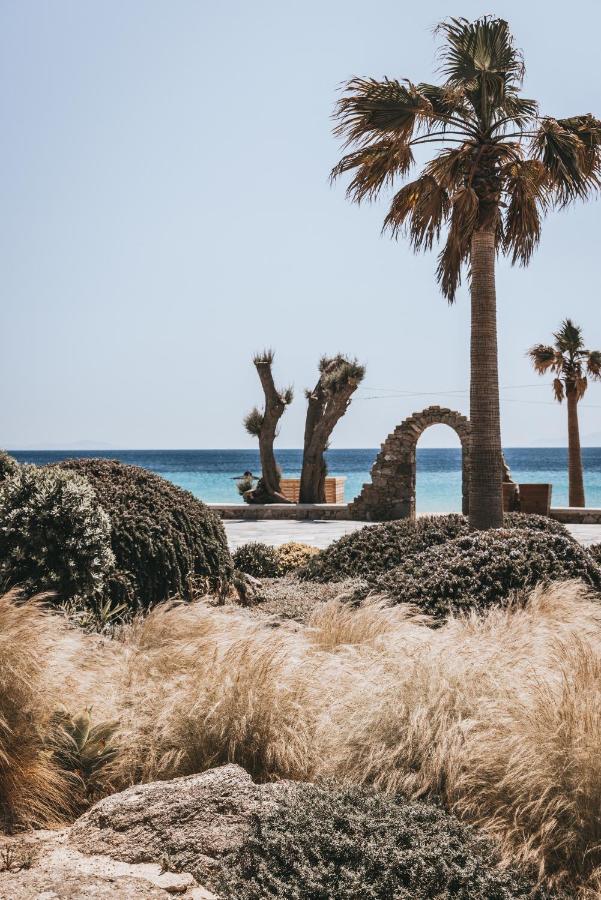 Elia Mykonos Elia (Mykonos)